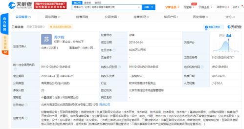 計算機軟件的技術(shù)開發(fā)與銷售 創(chuàng)新驅(qū)動與市場拓展的雙輪驅(qū)動